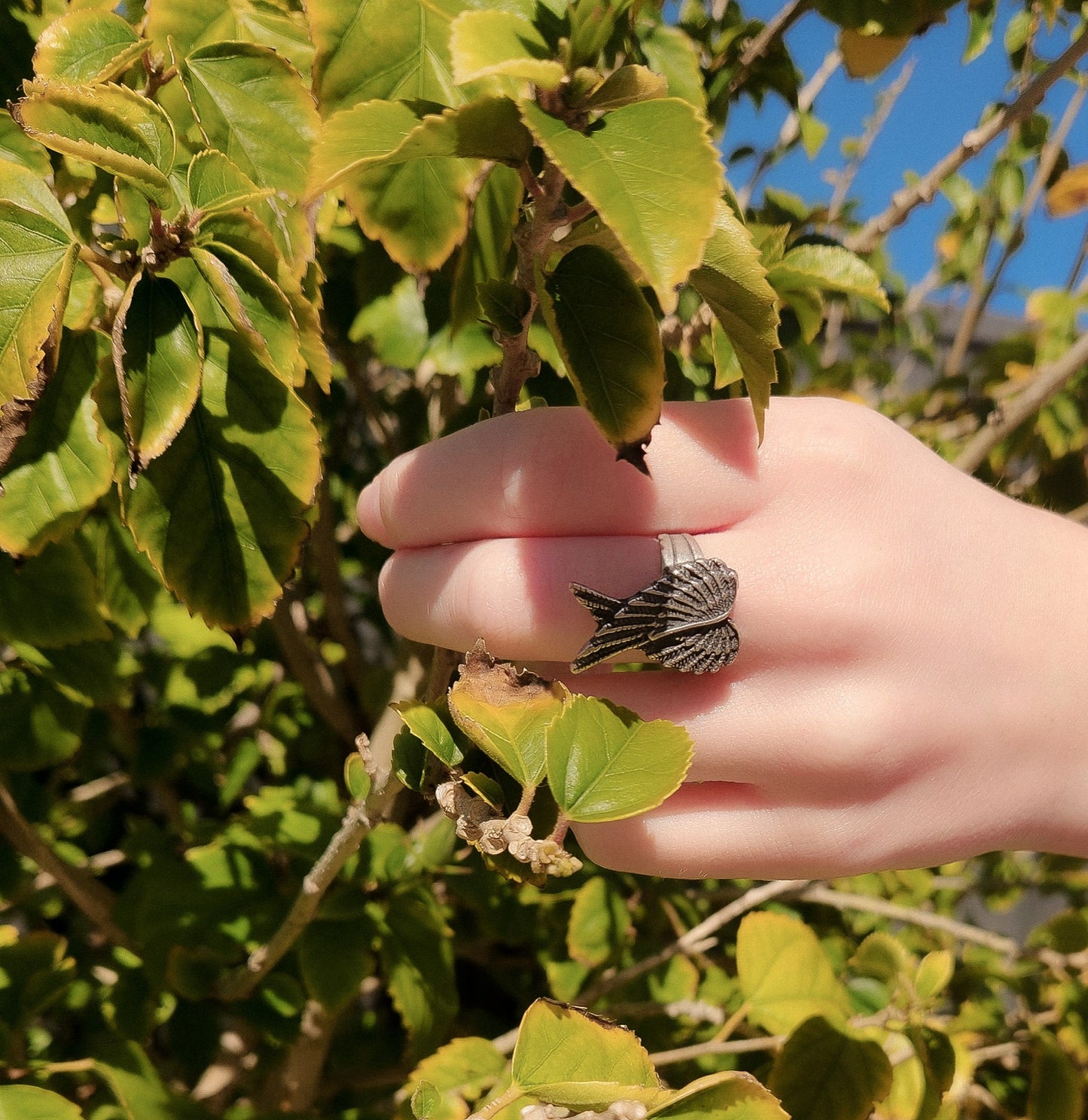 Angel Ring